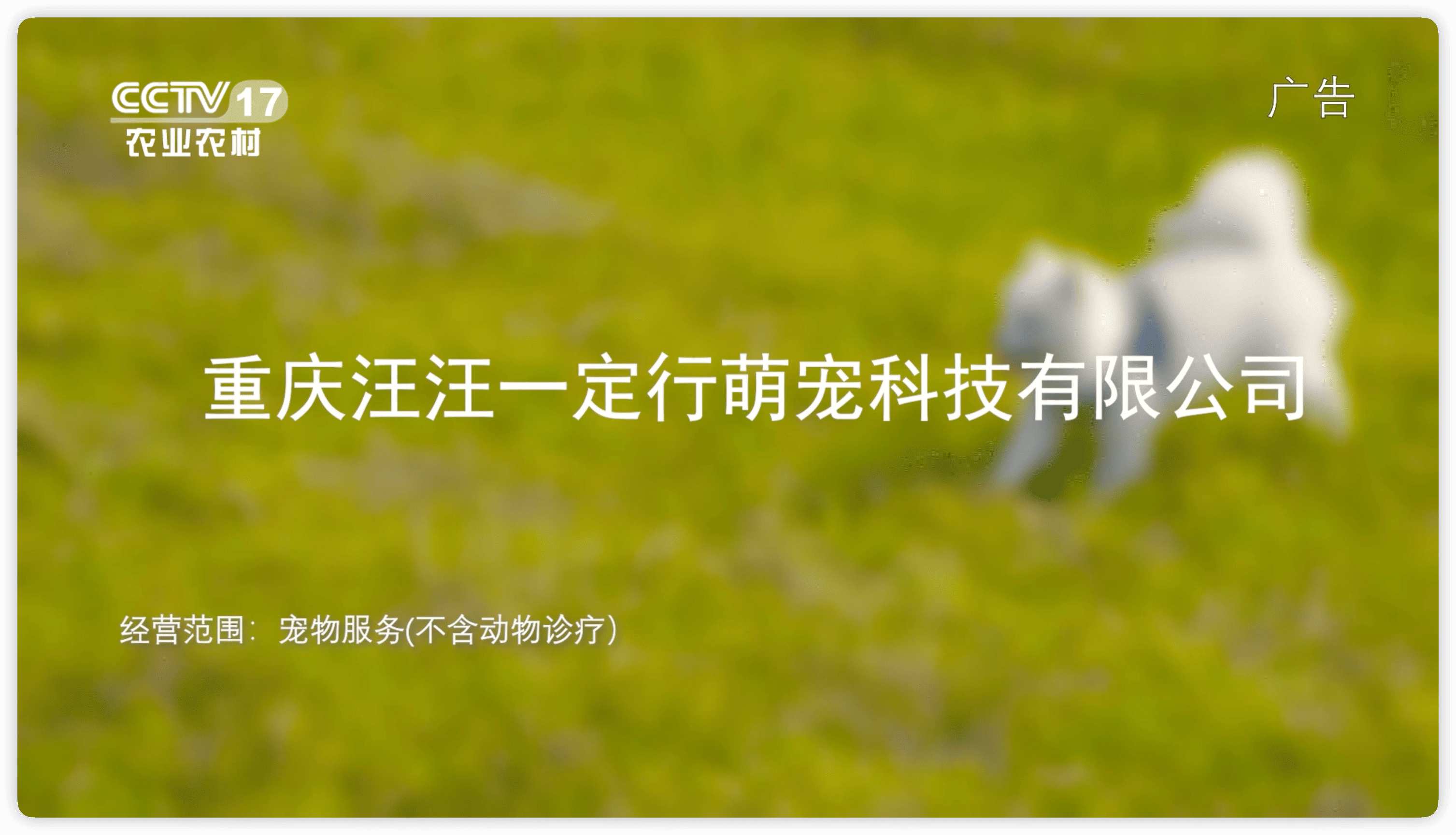 节目回顾《汪汪一定行》
