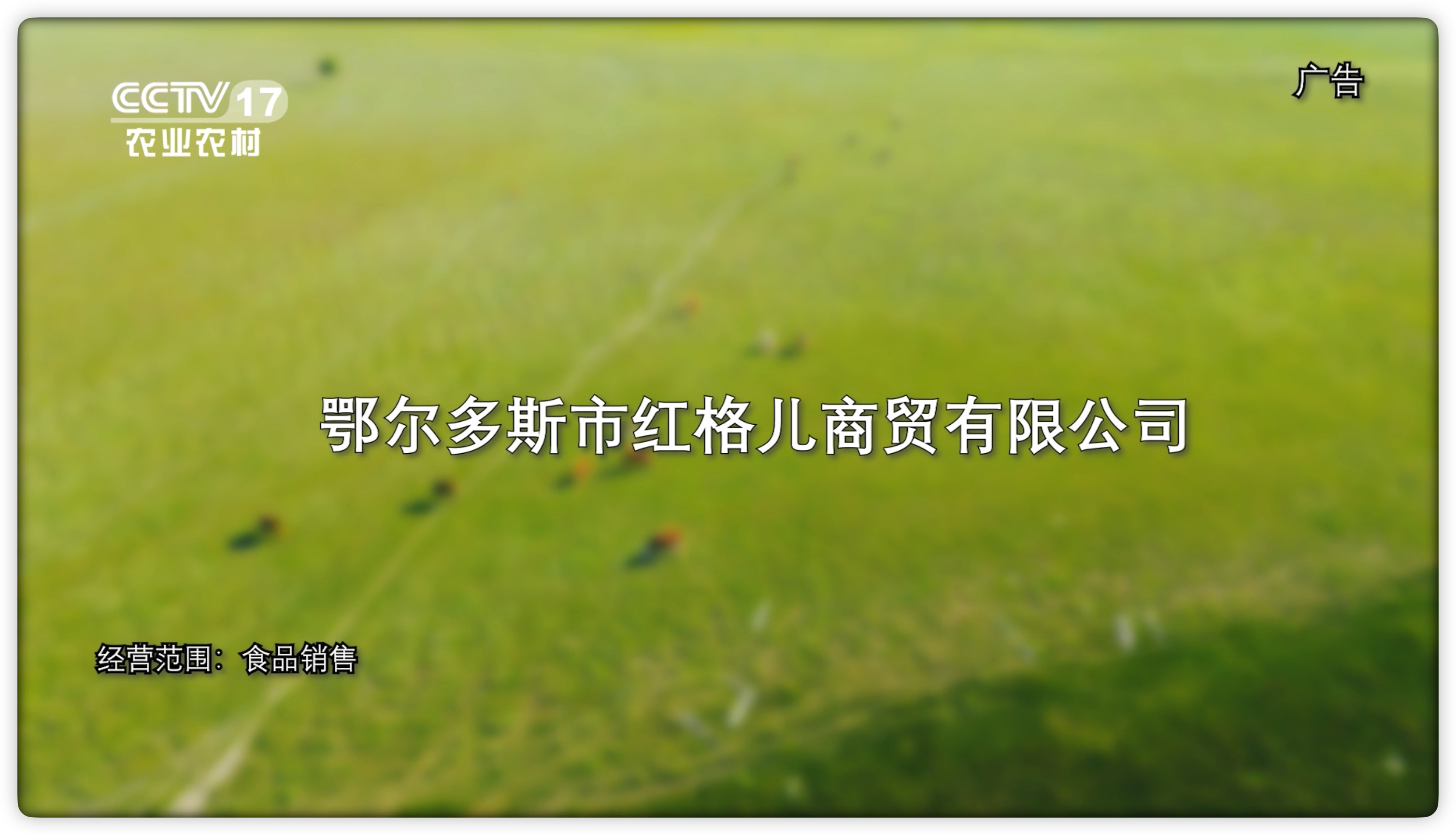 节目回顾《红格儿商贸》