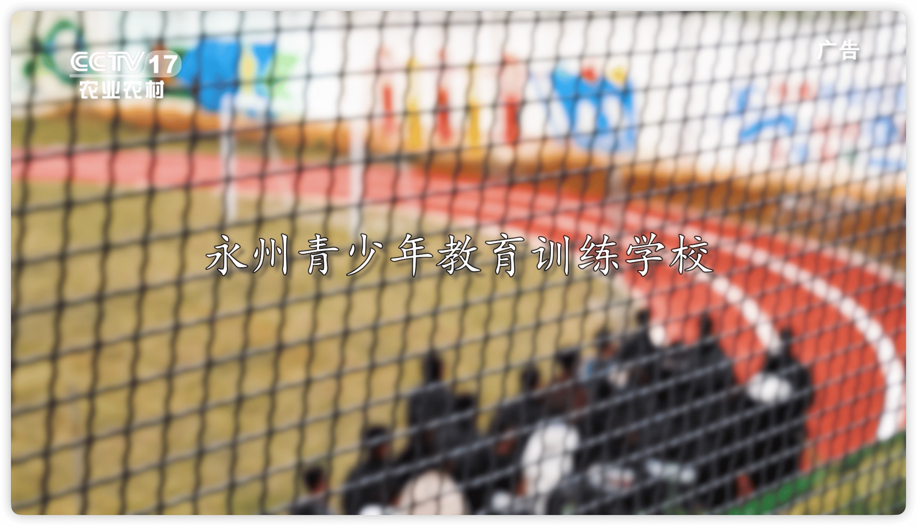 节目回顾《永州青少年教育学校》