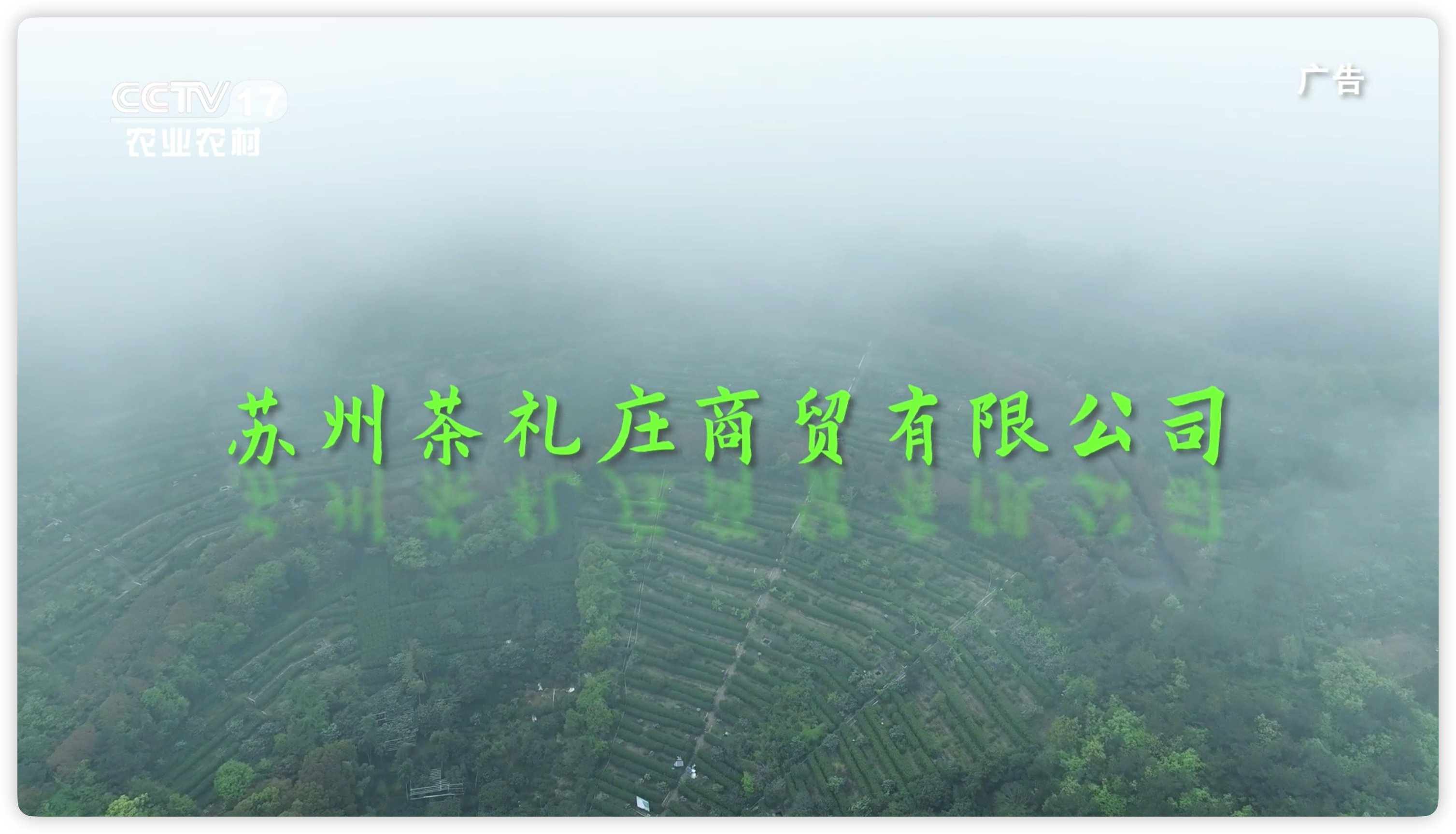 节目回顾《茶礼庄》