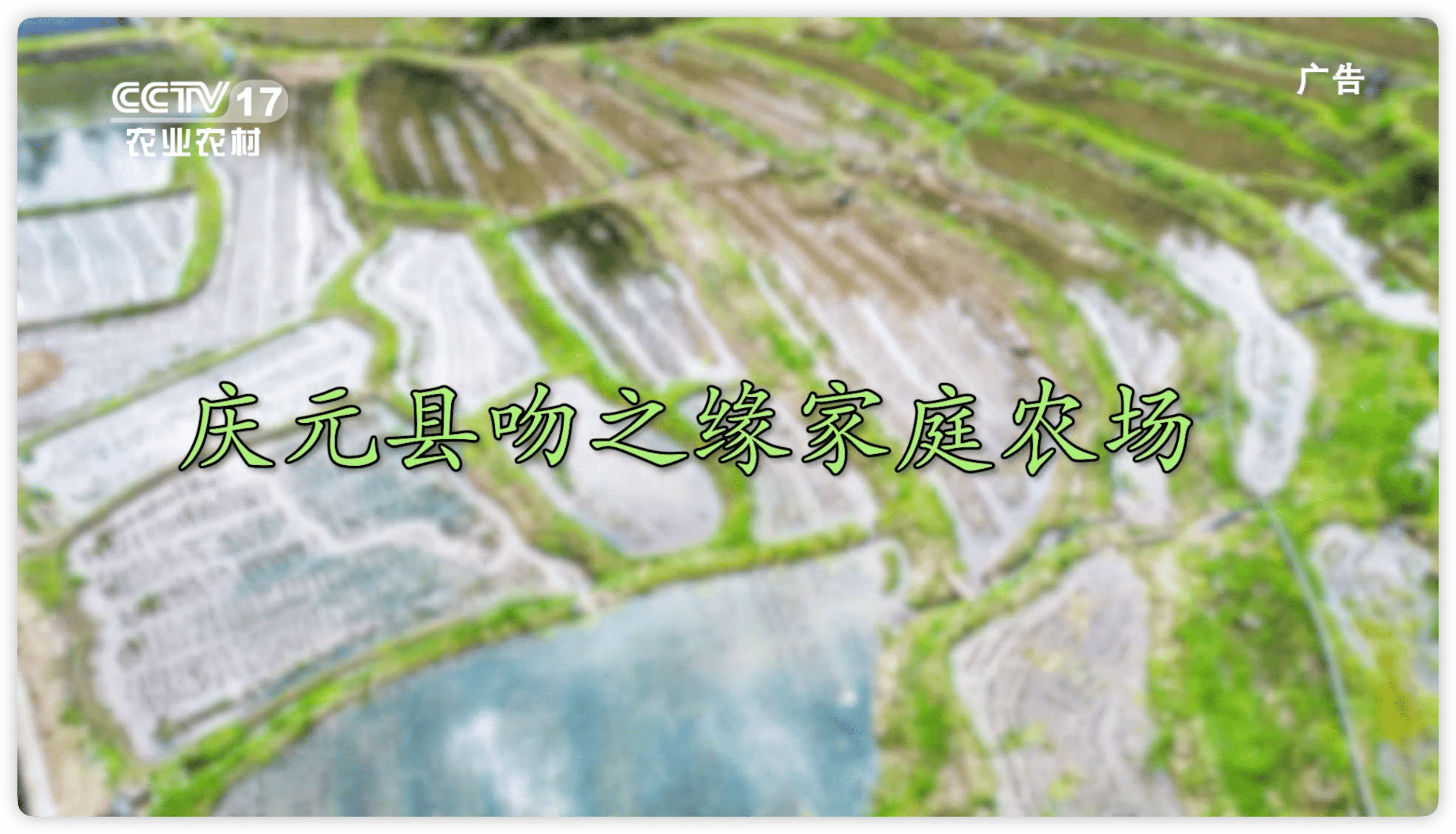 节目回顾《吻之缘家庭农场》